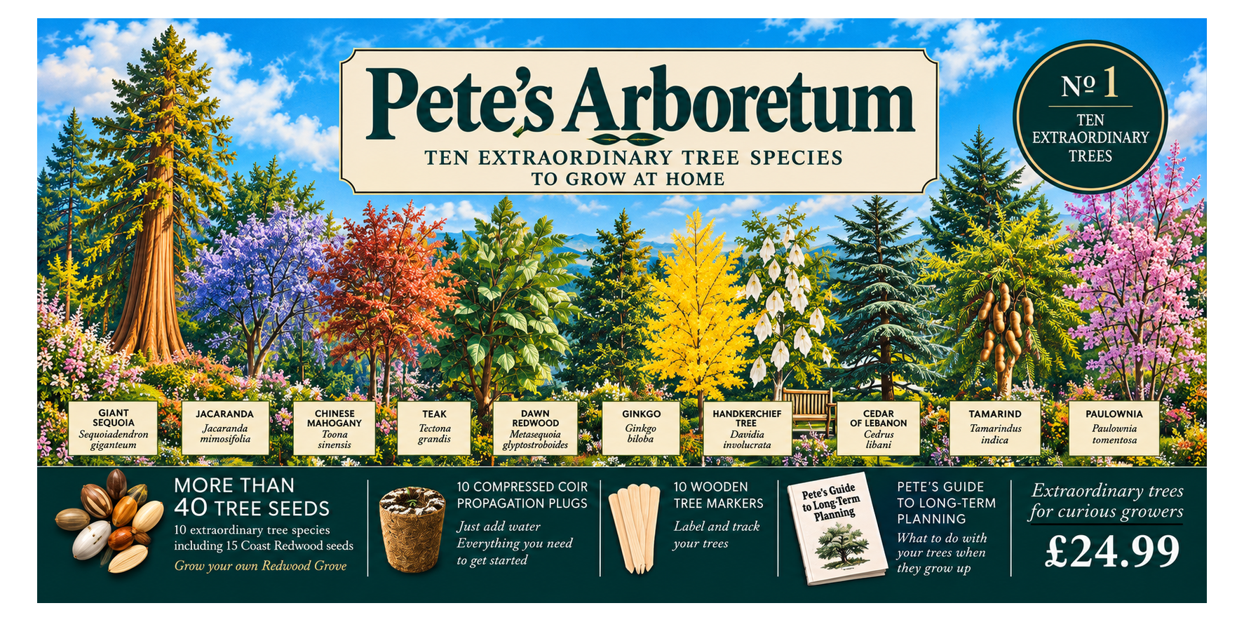 Pete’s Arboretum No.1 — ten extraordinary tree species to grow at home
